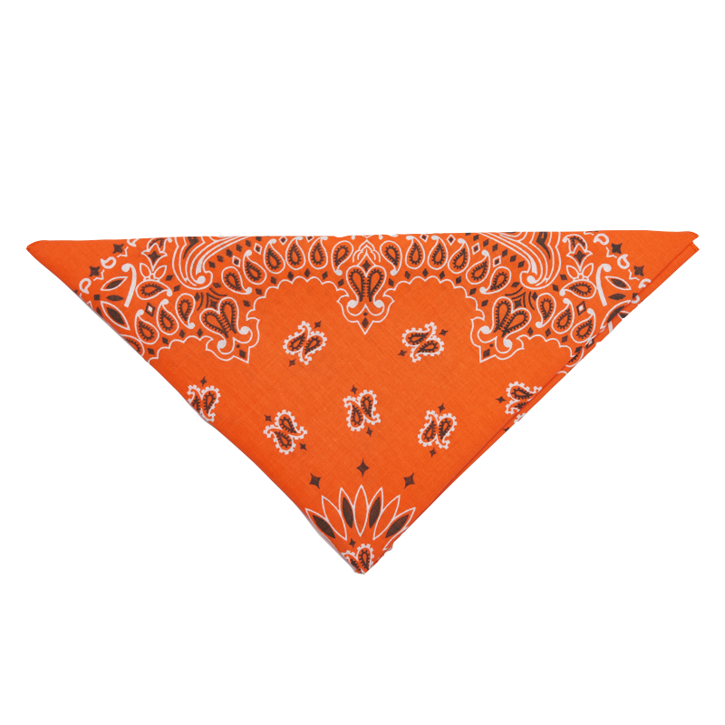 20 - Bandana