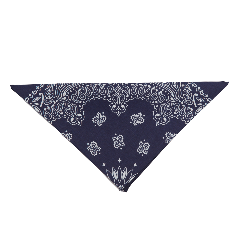 20 - Bandana