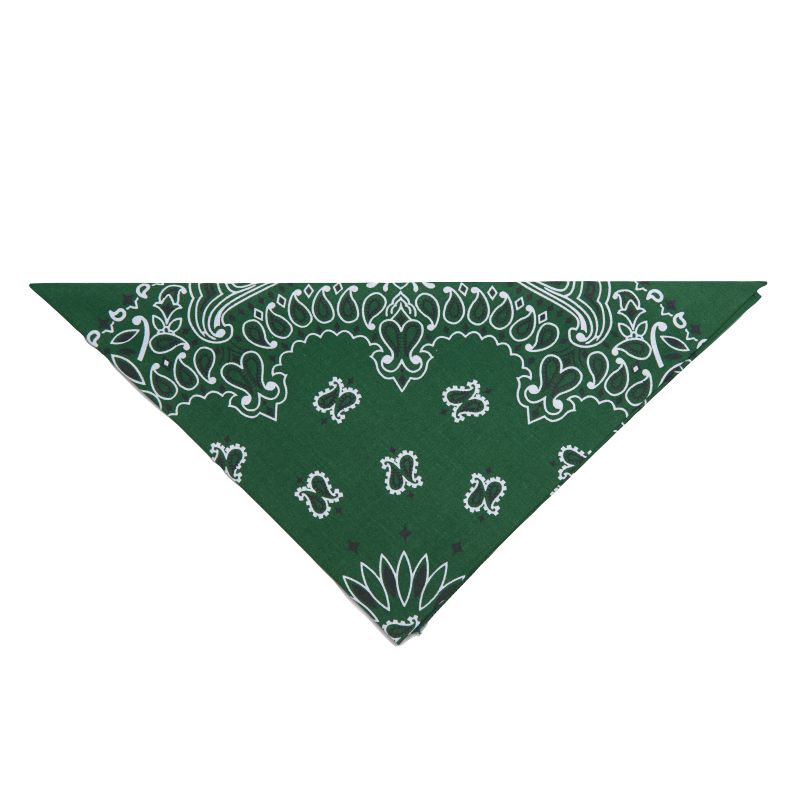 20 - Bandana