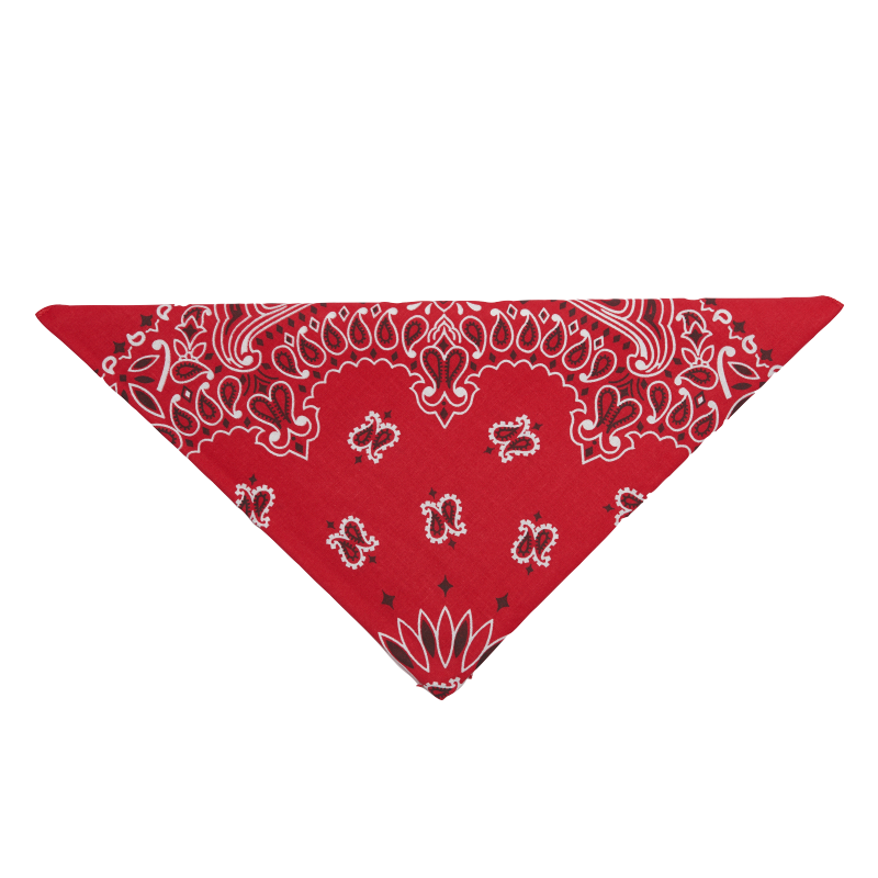 20 - Bandana