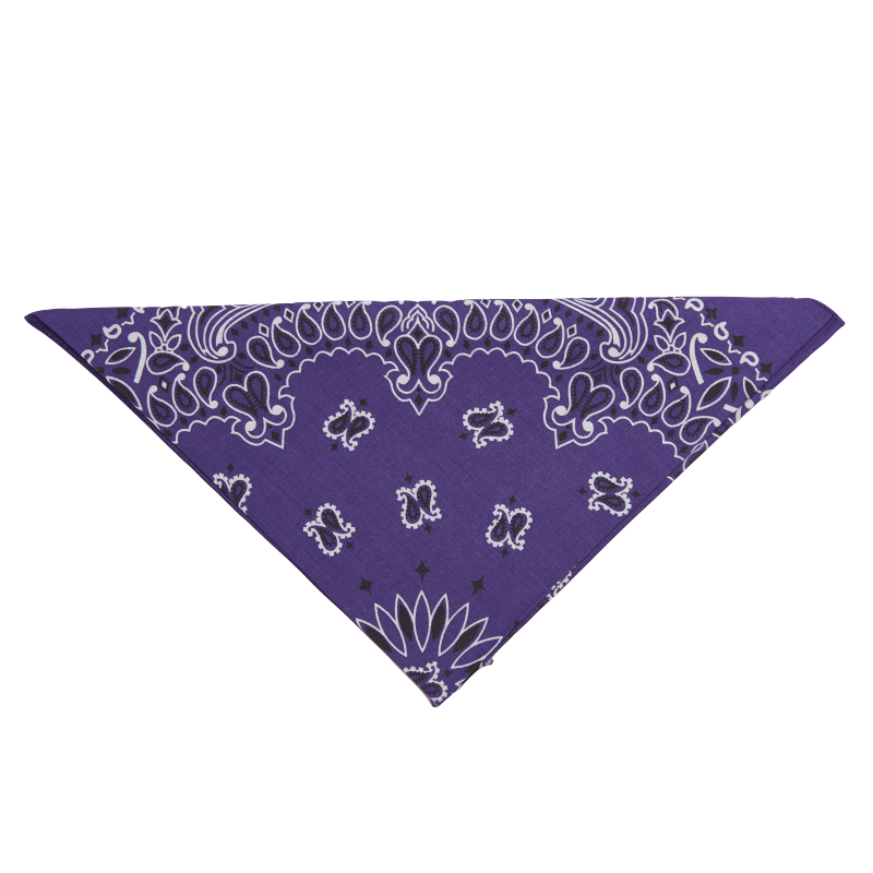 20 - Bandana
