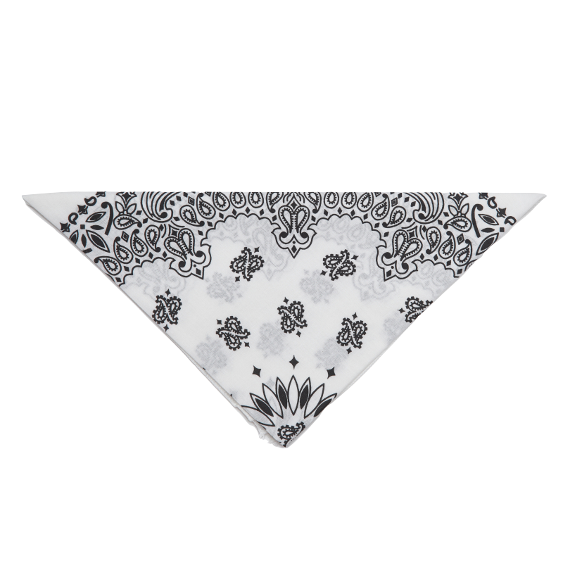 20 - Bandana
