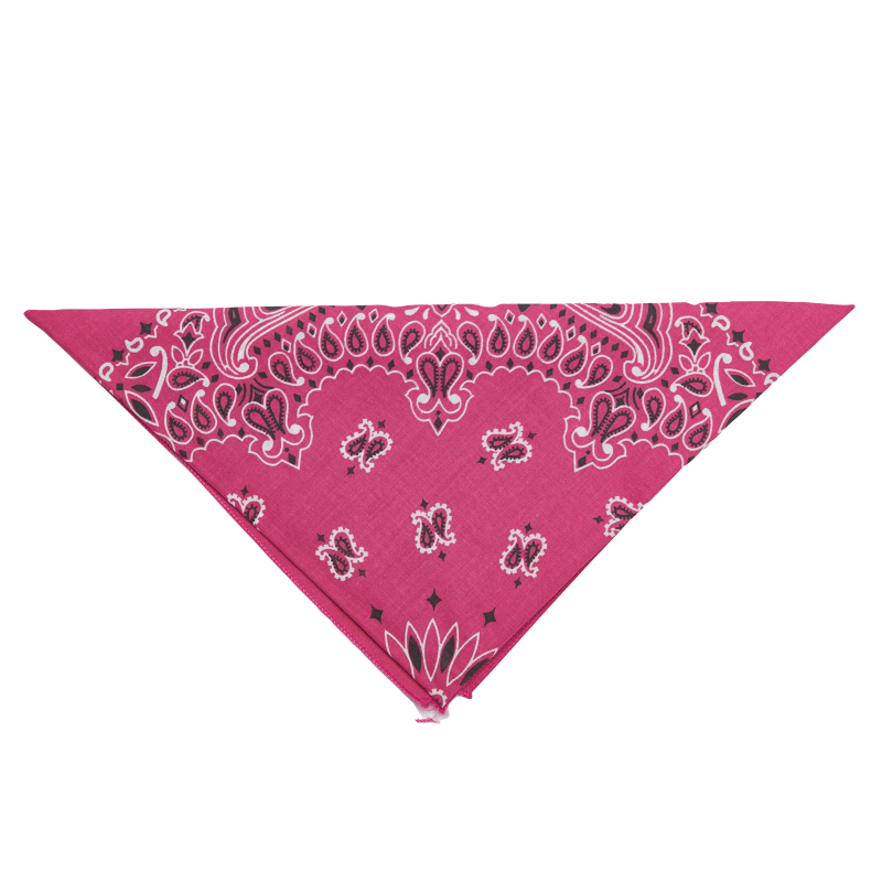 20 - Bandana