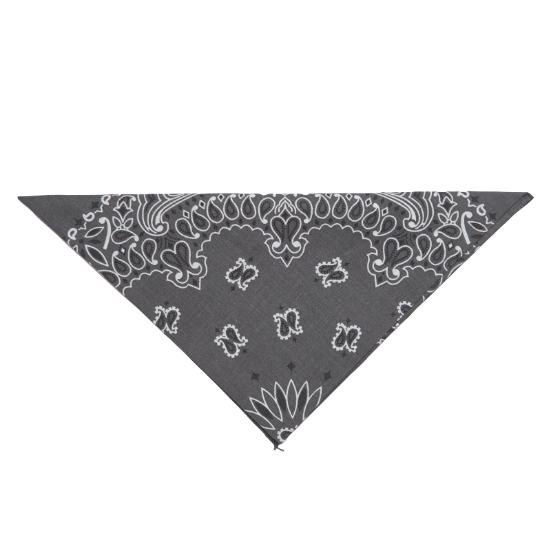 20 - Bandana
