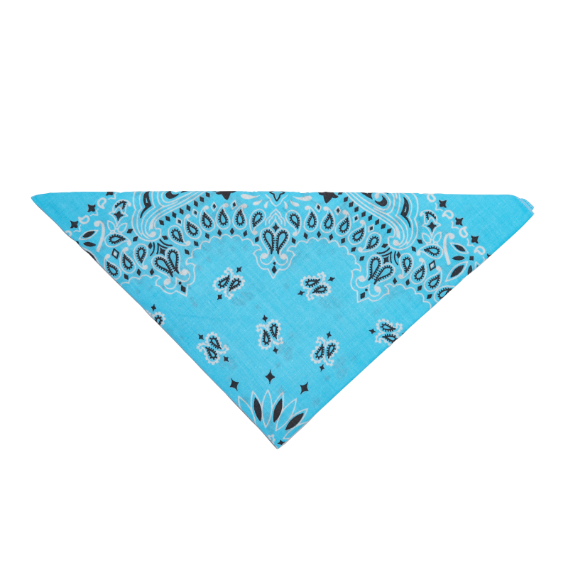 20 - Bandana