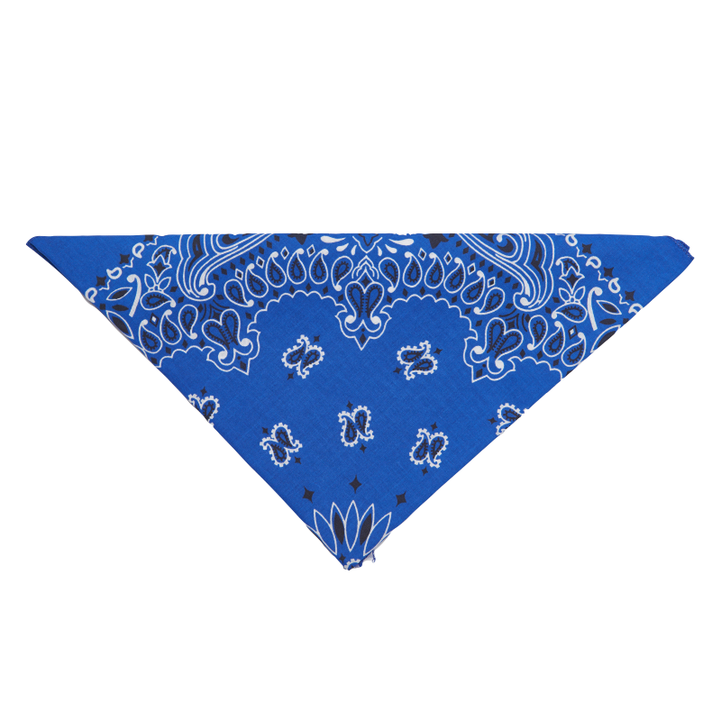 20 - Bandana