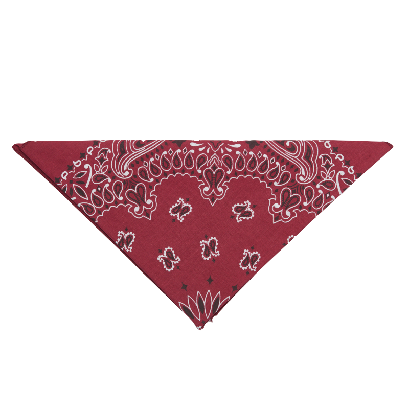 20 - Bandana