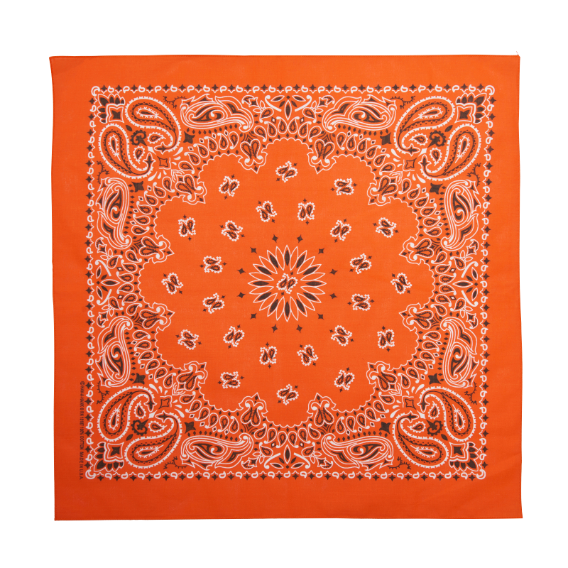 20 - Bandana